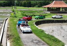 Eksplore Imogiri: Wisata Kelana VW Jadi Tren Baru